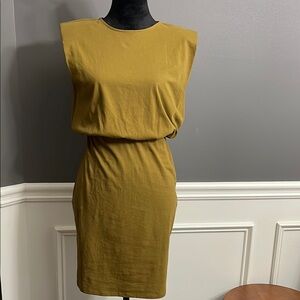 NWT, Express Dress